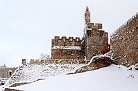 מגדל דוד בשלג, 1992 - זאב רותקוף