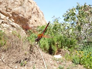 נחל פרת: יובלים, אתרים בנחל, היסטוריה