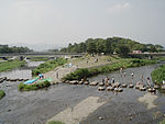 賀茂川(左)と高野川(右)の合流点。通称「デルタ(三角州)」（地理学でいうデルタ(三角州)には該当せず誤用である）。