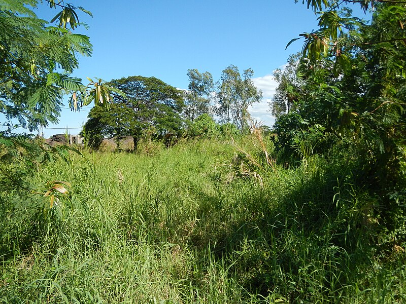 File:0027jfCapitol Pasudeco Hiway San Fernando Pampangafvf 21.JPG