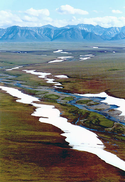 File:1002 Area ANWR.jpg