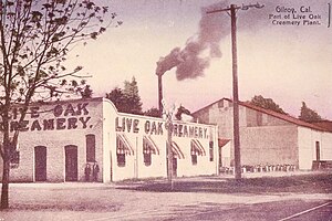 1908 Post Card of Live Oak Creamery.jpg