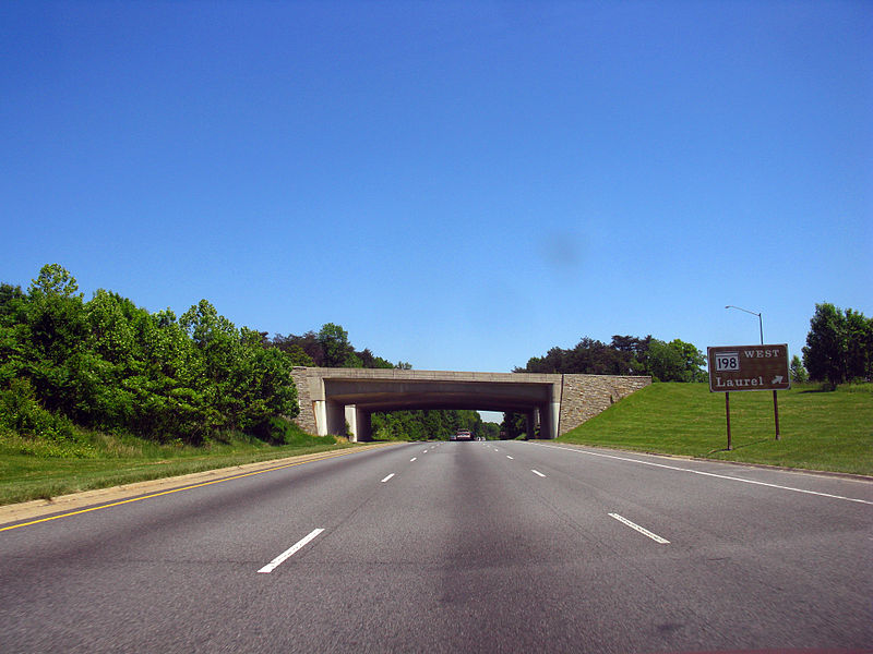 File:2009 05 21 - 6236 - Russett - BW Pkwy at MD198 (3651834997).jpg