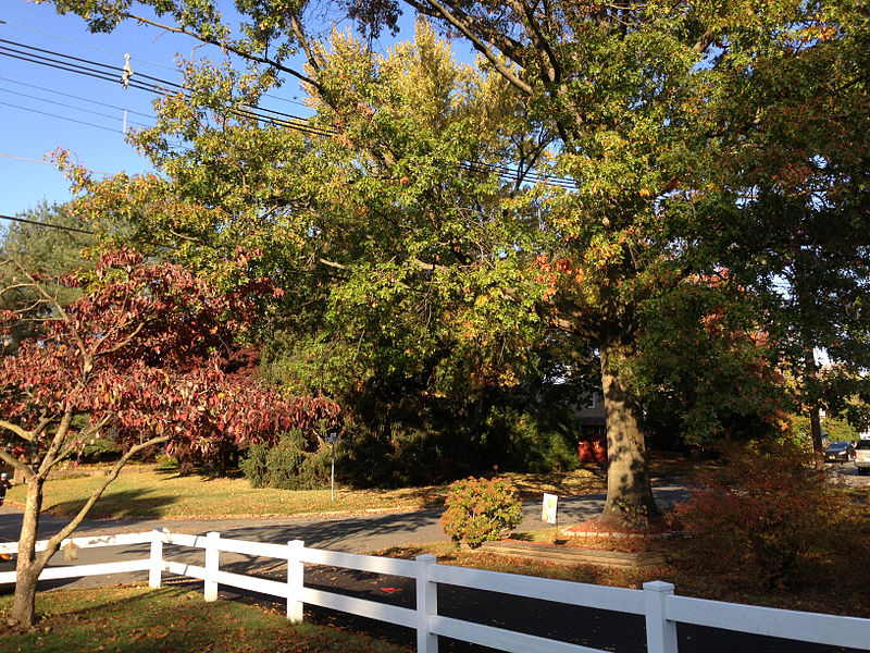 File:2014-10-30 09 23 14 Suburban area along Terrace Boulevard during autumn leaf coloration in Ewing, New Jersey.JPG