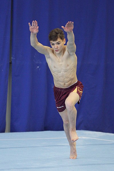 File:2019-05-24 Budapest Cup training floor exercise (Martin Rulsch) 127.jpg