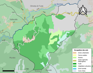 Kolorowa mapa przedstawiająca użytkowanie gruntów.