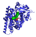 Thumbnail for Cholesterol side-chain cleavage enzyme