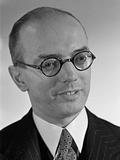 Aat van Rhijn Dutch politician (1892–1986)