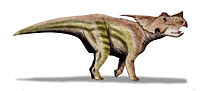 Achelousaurus BW.jpg