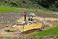 * Nomination Farmers on Thimphu-Punakha highway, Bhutan --Bgag 00:59, 26 August 2018 (UTC) * Promotion  Support Good quality. --Basile Morin 01:40, 26 August 2018 (UTC)