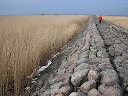 Ainažu Ziemeļu mols