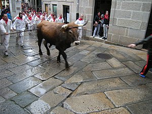 Festas De Interese Turístico De Galicia