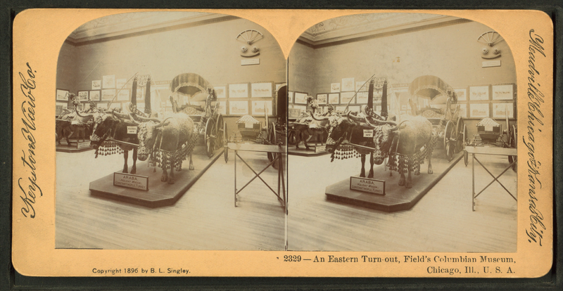 File:An Eastern Turn out, Field's Columbian Museum, Chicago, Ill., U.S.A, from Robert N. Dennis collection of stereoscopic views.png