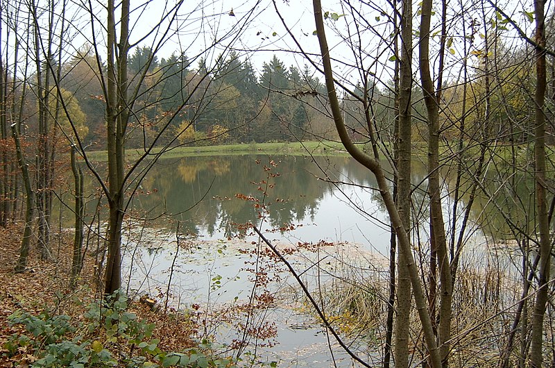 File:Angelteich, nähe Naturfreundehaus - panoramio.jpg