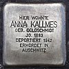Anna Kallmes - Hansastraße 37 (Hamburg-Harvestehude).Stolperstein.nnw.jpg