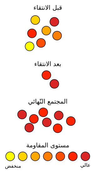 صورة:Antibiotic resistance-ar.svg