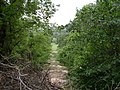 Thumbnail for Arbor Hills Nature Preserve