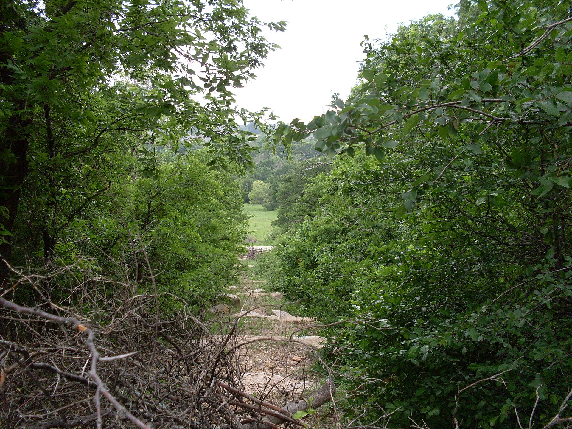 Arbor Hills Nature Preserve.jpg