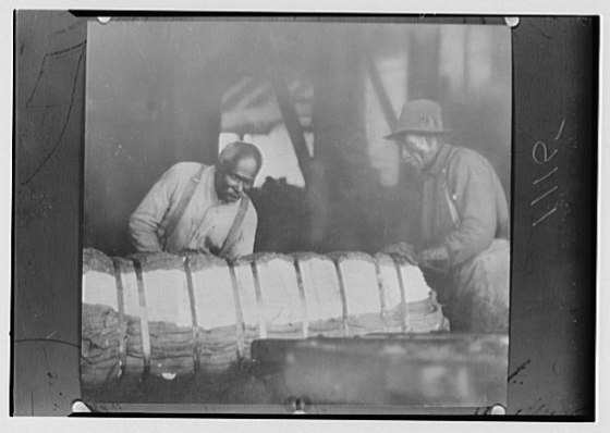 File:At the cotton press, New Orleans LOC agc.7a09790.tif