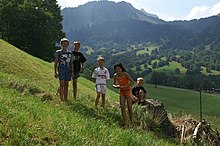 Kinder auf einer Wiese in Au im Bregenzerwald