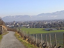 Die Grenzlage prägt das St. Galler Rheintal.[2] Au im Wahlkreis Rheintal, im Hintergrund Österreicher Berge.