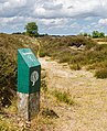 Balloërveld, natuurgebied in Drenthe.