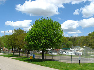 Bancroft, West Virginia Town in West Virginia, United States