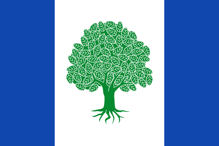 File:Bandera de Olmeda de Cobeta.svg