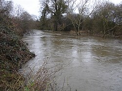 River Wey (suba)