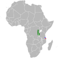 Range of Baphia punctulata