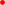 Basic red dot.png