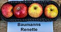 Baumanns Renette