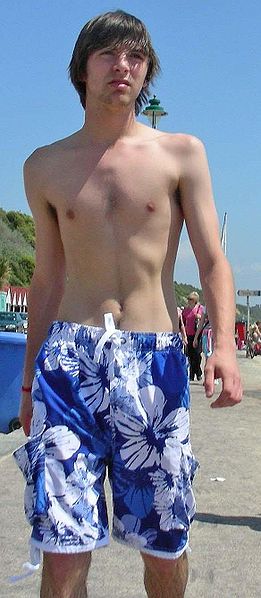 File:Beach boy summer time 2009.jpg