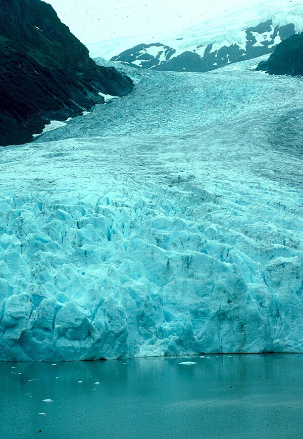 Parc provincial Bear Glacier