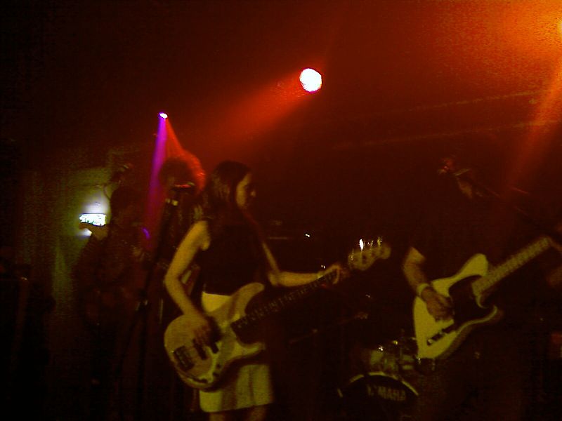 File:Besnard Lakes - live in nottingham 190507.jpg