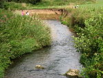 Bever (Weser)