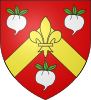 Blason ville fr Rabastens-de-Bigorre (65).svg