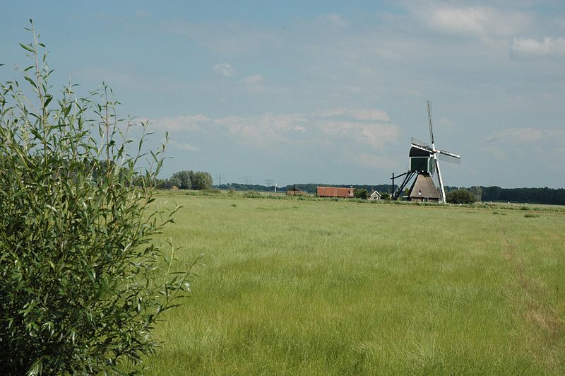 File:Bleskensgraaf - Wijngaardse molen - panoramio - Rokus C (6).jpg