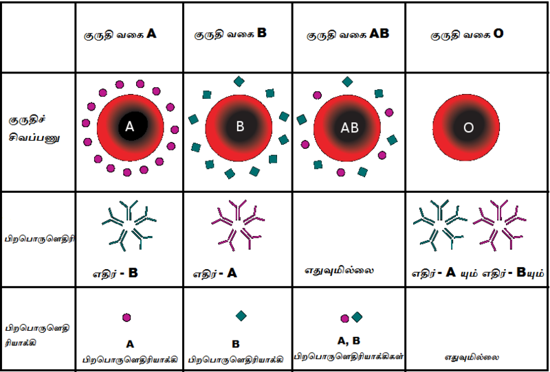 File:Blood group1.png