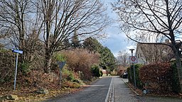 Borsbergblick in Dresden