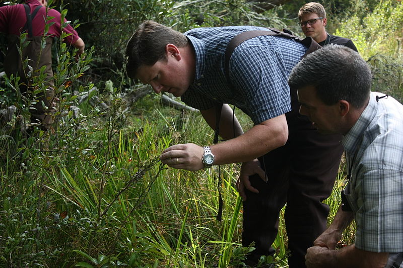 File:Brett Hunter and Rick Huffines examine bog plants (8048032582).jpg