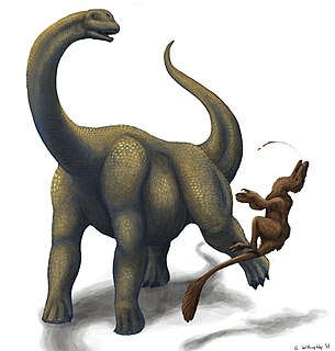 <i>Brontomerus</i> Extinct genus of reptiles