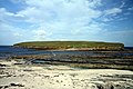 Brough of Birsay in summer 2012 (4).JPG