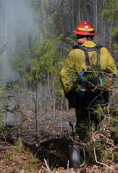 File:Bull Mountain cooperative prescribed burn (6818247168).jpg