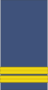 File:CDN-Air Force-Capt.svg