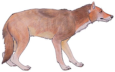 Fail:Canis_dirus_reconstruction.jpg