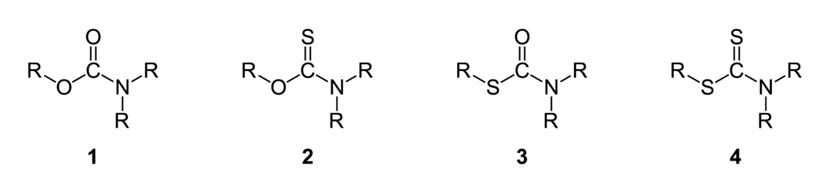 File Carbamates Thiocarbamates Dithiocarbamates General 2d Png Wikipedia