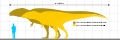 Carcharodontosaurus specimens.svg