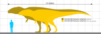 Carcharodontosaurus specimens.svg