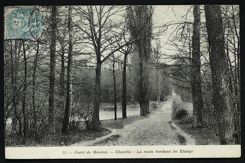 File:Carte postale - Meudon - Forêt de Meudon - Chaville - La route bordant les étangs - 9FI-MEU 223.jpg